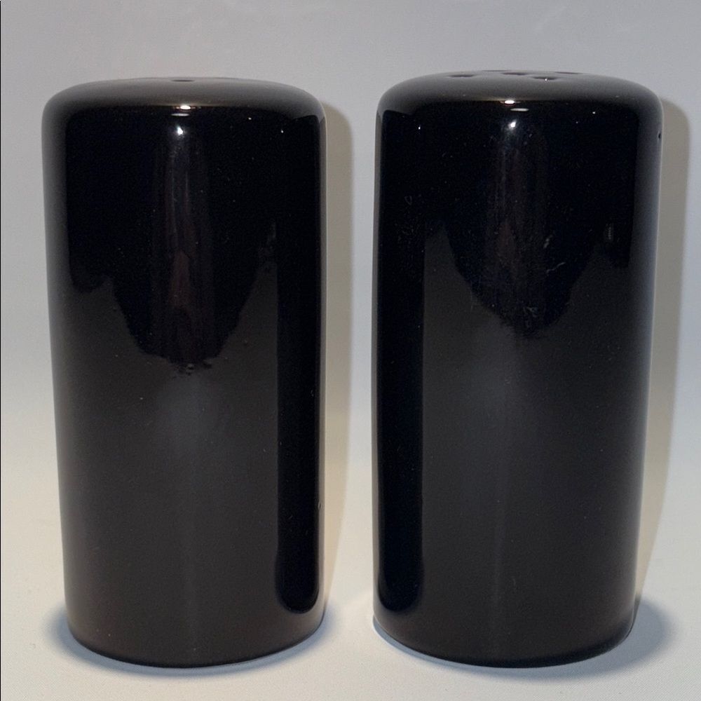 Elegant Black Ceramic Salt and Pepper Shakers